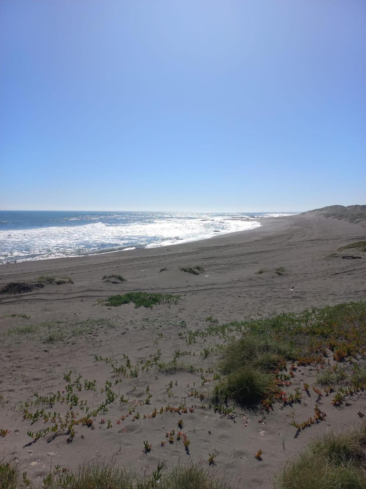 Ekilibre Surf Eco Hostal Curanipe Exterior photo